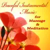 The O'Neill Brothers Group - Peaceful Instrumental Music for Massage & Meditation